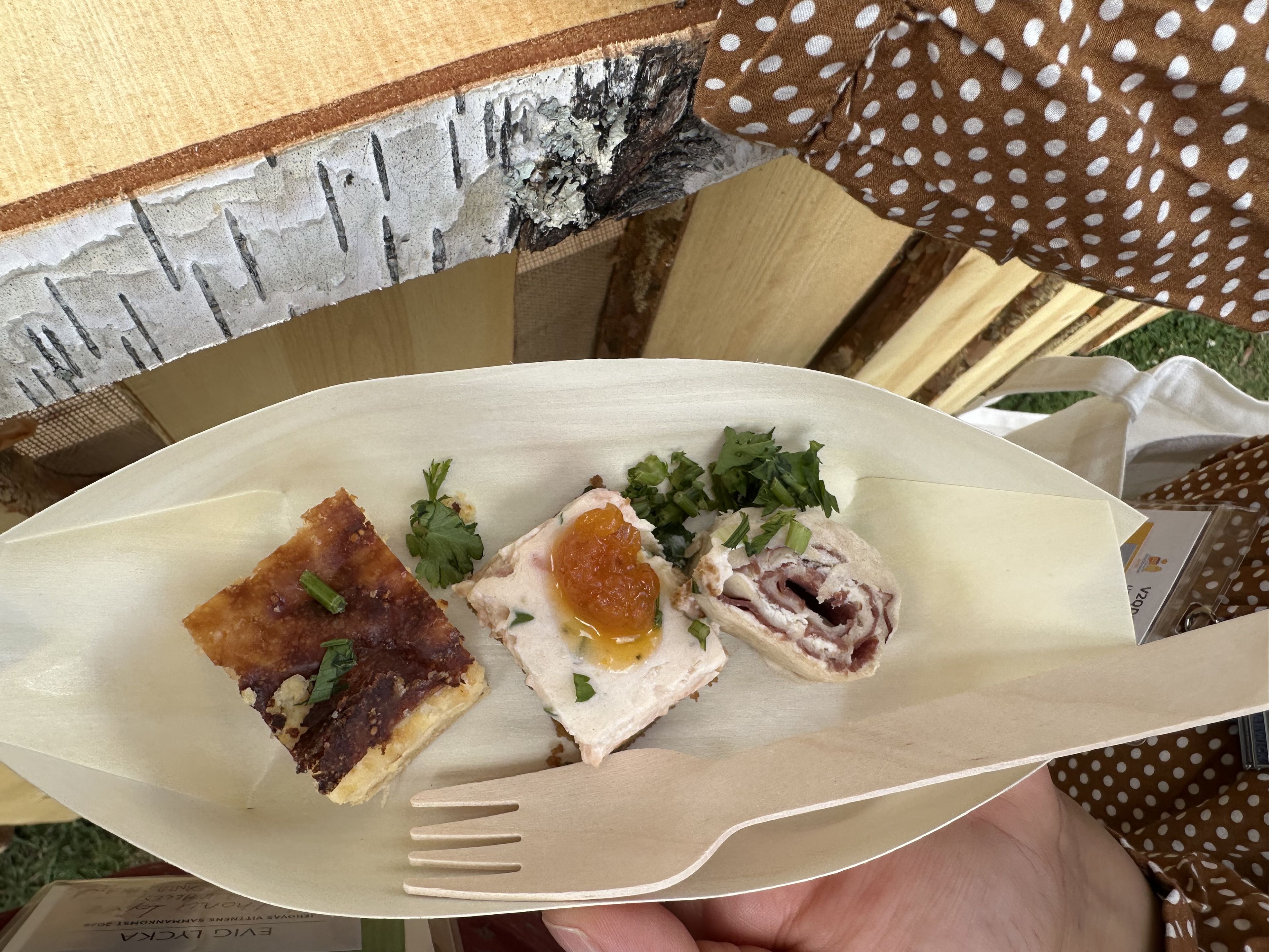 Right to left: reindeer, smoked salmon, Swedish cheese pie