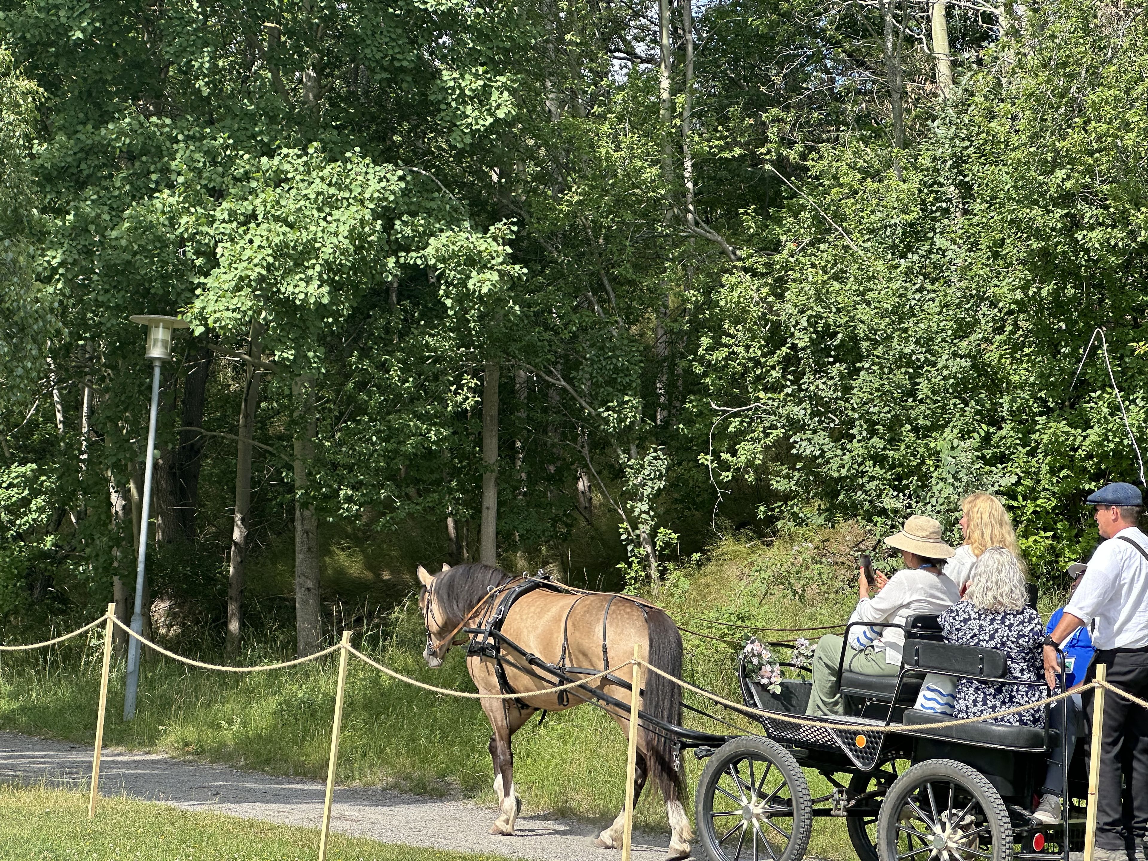 Carriage rides